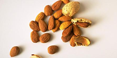 Les vertus santé des noix et graines oléagineuses