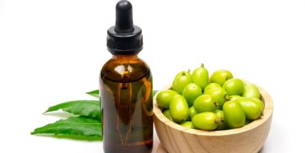 Un insecticide naturel : l'huile de neem